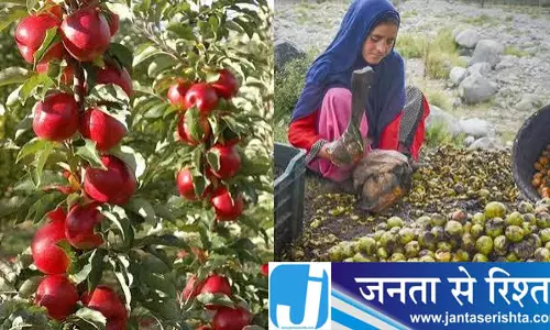 कश्मीर में रेलवे बनाएगा दो नए गोदाम, किसानों को मिलेगा फायदा