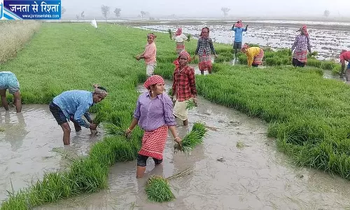 कर्नाटक में खरीफ उत्पादन में भारी गिरावट का अनुमान, 40% घट सकता है खाद्यान्न उत्पादन