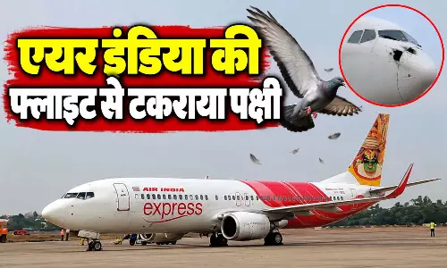 एयर इंडिया की फ्लाइट से टकराया पक्षी, 148 यात्री सवार थे एयर इंडिया की फ्लाइट से टकराया पक्षी, 148 यात्री सवार थे