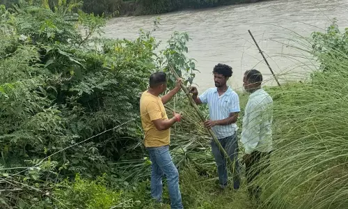 सिंगल वायर फेंसिंग से मानव-हाथी संघर्ष रोकने की कोशिश सफल