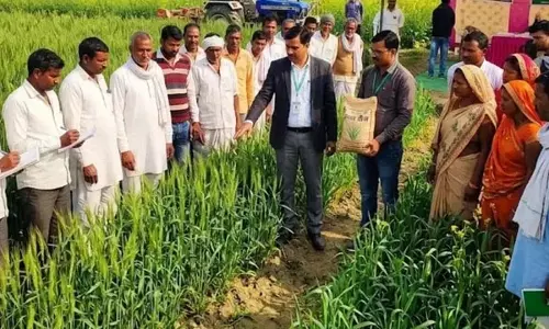 किसानों के लिए कृषि विभाग का बड़ा अभियान, रबी फसलों की उन्नत खेती के सिखाए जाएंगे गुर किसानों के लिए कृषि विभाग का बड़ा अभियान, रबी फसलों की उन्नत खेती के सिखाए जाएंगे गुर