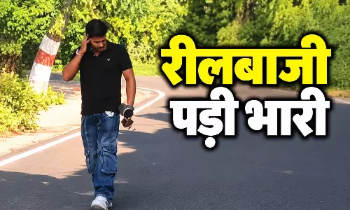 रीलबाजी पड़ी भारी! मधुमक्खियों के हमले से 20 लोग घायल