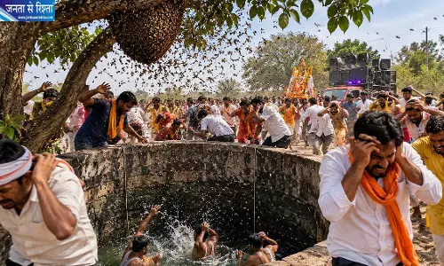 जवारा विसर्जन के दौरान मधुमक्खियों का हमला, 20 से ज्यादा श्रद्धालु घायल
