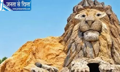 गुजरात में बना दुनिया का अनोखा शेर के आकार का दुर्गा मंदिर गुजरात में बना दुनिया का अनोखा शेर के आकार का दुर्गा मंदिर