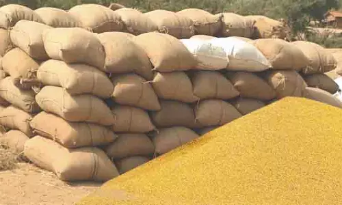 किसानों को धान के 2.97 करोड़, 6588.36 मीट्रिक टन फसल की खरीद