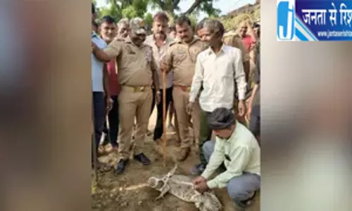 गांव में मगरमच्छ की दस्तक से मचा हड़कंप