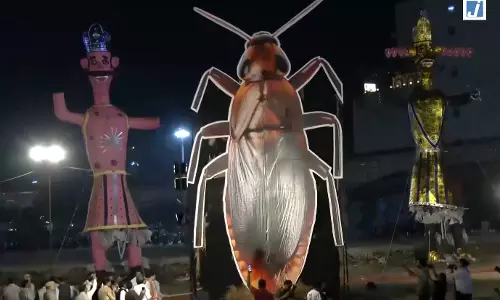 दशहरे पर अनोखा नजारा, रावण के साथ जलाया गया 30 फीट का कॉकरोच