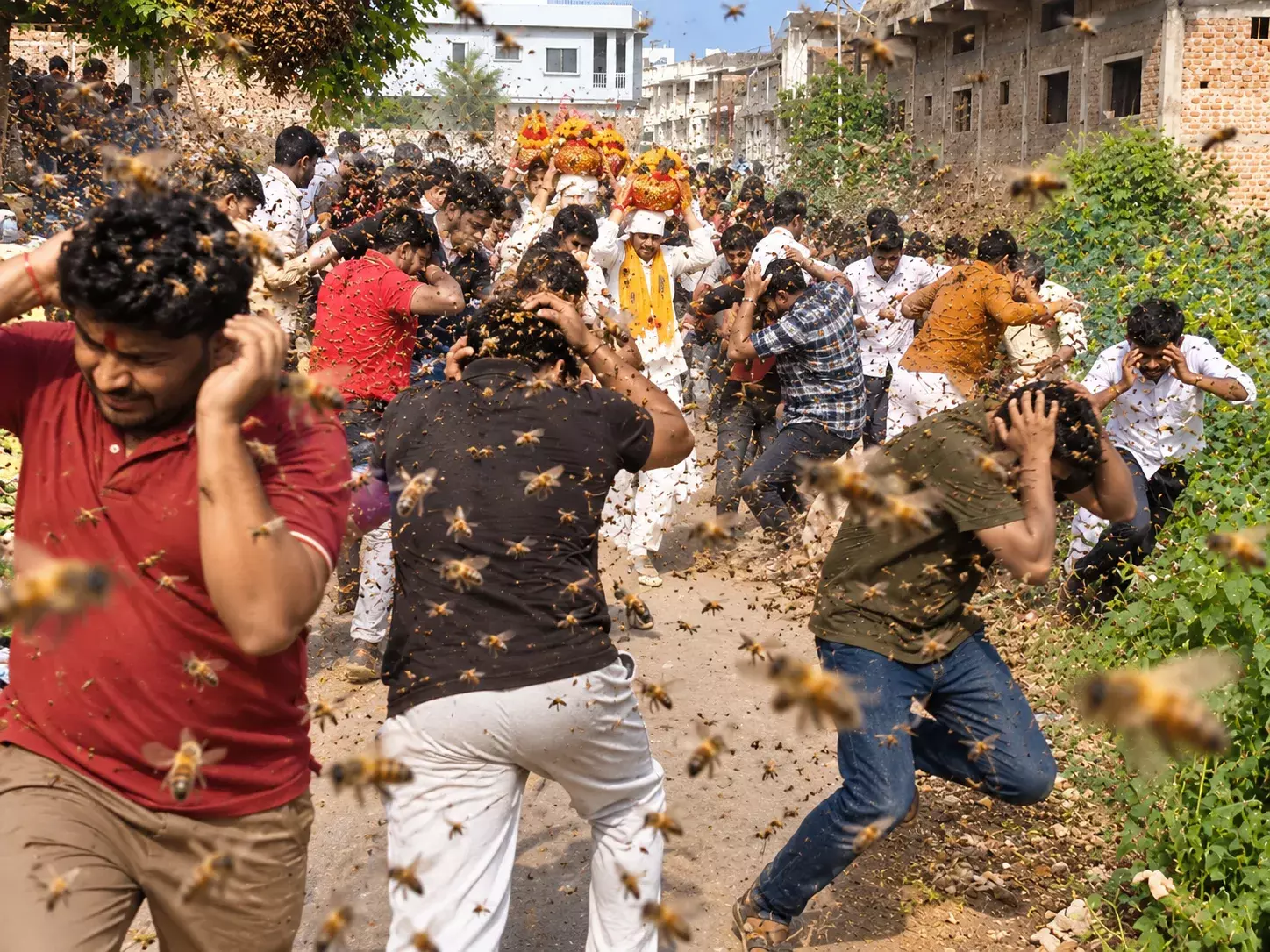 देवास में मधुमक्खियों का आतंक, 11 ग्रामीण घायल देवास में मधुमक्खियों का आतंक, 11 ग्रामीण घायल