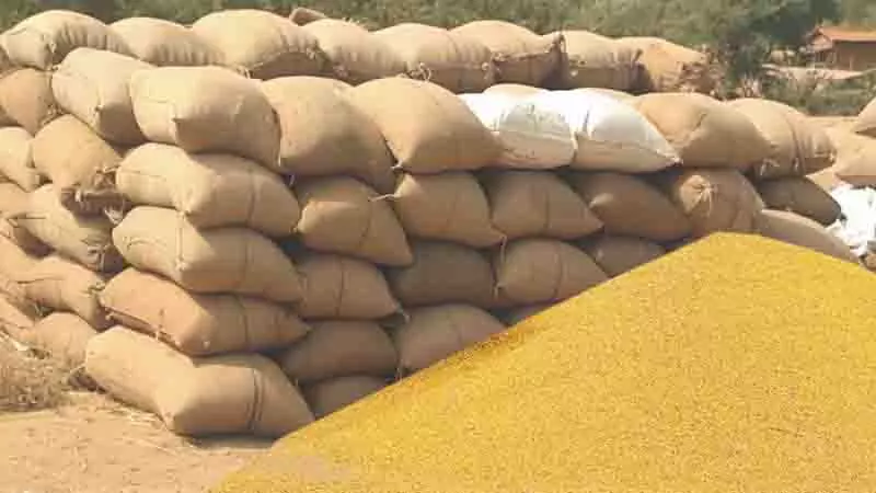 किसानों को धान के 2.97 करोड़, 6588.36 मीट्रिक टन फसल की खरीद किसानों को धान के 2.97 करोड़, 6588.36 मीट्रिक टन फसल की खरीद