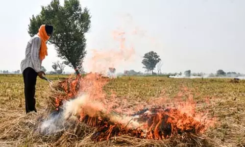 पंजाब में पराली जलाने के 404 मामले दर्ज, अमृतसर और तरनतारन में सबसे अधिक घटनाएं, अब तक 3.40 लाख की वसूली