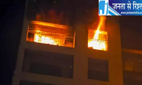 दिल्ली के पीरागढ़ी में फैक्ट्री की इमारत में आग, कोई हताहत नहीं