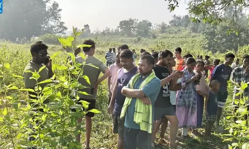 खेत की सोलर फेंसिंग में फंसा मिला हाथी का शव, करंट से मौत की आशंका खेत की सोलर फेंसिंग में फंसा मिला हाथी का शव, करंट से मौत की आशंका