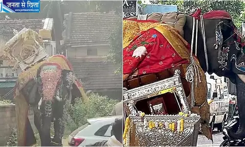 दशहरा जुलूस में बेकाबू हुआ हाथी, 450 किलो चांदी की अंबारी सड़क पर गिरी