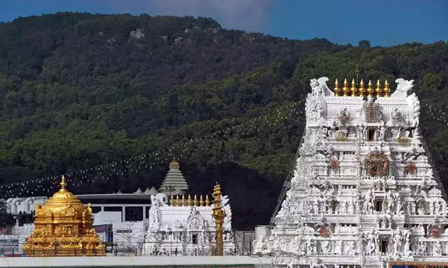 तिरुमाला: आदर्श आचार संहिता के दौरान दर्शन के लिए कोई अनुशंसा पत्र की अनुमति नहीं है
