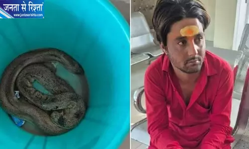 रांची में दुर्लभ सांप बरामद, विदेश में करोड़ों कीमत, युवक गिरफ्तार रांची में दुर्लभ सांप बरामद, विदेश में करोड़ों कीमत, युवक गिरफ्तार