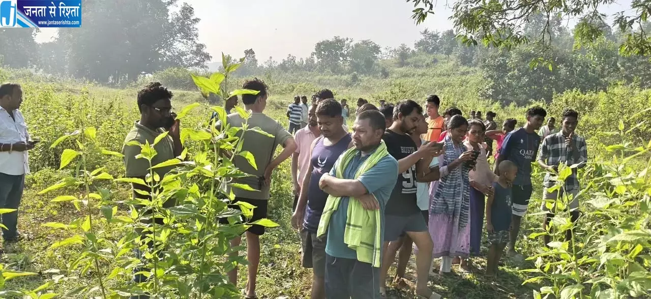 खेत की सोलर फेंसिंग में फंसा मिला हाथी का शव, करंट से मौत की आशंका खेत की सोलर फेंसिंग में फंसा मिला हाथी का शव, करंट से मौत की आशंका