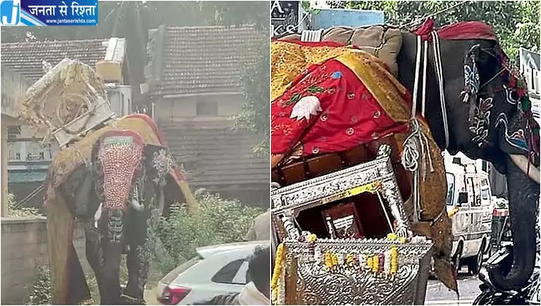 दशहरा जुलूस में बेकाबू हुआ हाथी, 450 किलो चांदी की अंबारी सड़क पर गिरी दशहरा जुलूस में बेकाबू हुआ हाथी, 450 किलो चांदी की अंबारी सड़क पर गिरी
