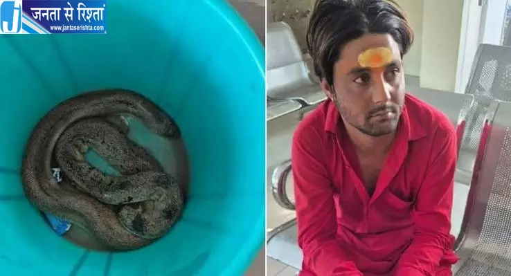 रांची में दुर्लभ सांप बरामद, विदेश में करोड़ों कीमत, युवक गिरफ्तार रांची में दुर्लभ सांप बरामद, विदेश में करोड़ों कीमत, युवक गिरफ्तार