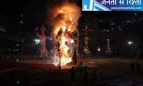 कॉकरोच का पुतला जलाने पर अन्नामलाई ने बीजेपी को घेरा