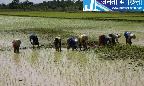 पंजाब में किसानों ने खरीदीं 21 हजार पराली प्रबंधन मशीनें