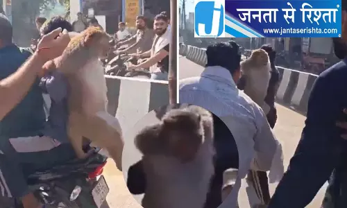 51,000 रुपये के इनामी बंदर को पकड़ा, उसके साथ मारपीट देख लोगों में गुस्सा