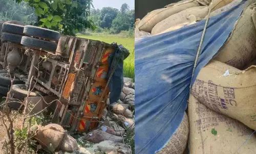 CG BIG BREAKING: नेशनल हाईवे पर हादसा, खेत में जा गिरा ट्रक, चालक ने मौके पर तोड़ा दम