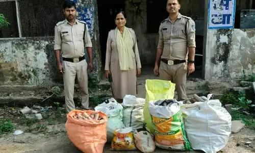 मुरैना में पटाखों की अवैध सामग्री जब्त, कीमत 2.45 लाख रुपये मुरैना में पटाखों की अवैध सामग्री जब्त, कीमत 2.45 लाख रुपये