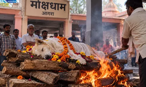 मोक्षधाम में कुत्ते का अंतिम संस्कार, मचा बवाल