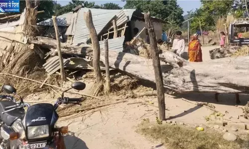 बिहार में आधी रात बड़ा हादसा, सोते परिवार पर गिरा विशाल पेड़, पति-पत्नी समेत चार घायल