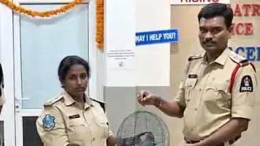 हैदराबाद: पिंजरे में कैद 4 इंडियन रोलर पक्षियों को पुलिस ने कराया आजाद हैदराबाद: पिंजरे में कैद 4 इंडियन रोलर पक्षियों को पुलिस ने कराया आजाद