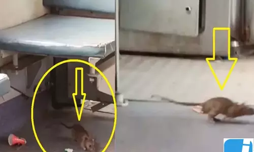 अंत्योदय एक्सप्रेस में चूहों की धमाचौकड़ी, सफाई पर उठे सवाल