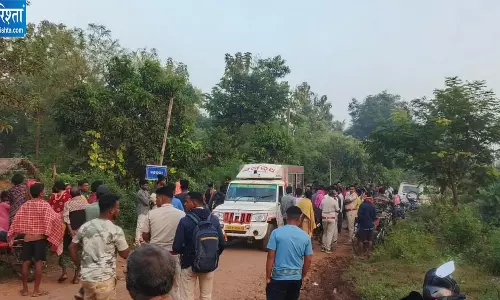 ओडिशा में जंगली हाथी का आतंक, घर से बाहर निकले बुजुर्ग को कुचलकर मार डाला, गांव में दहशत का माहौल