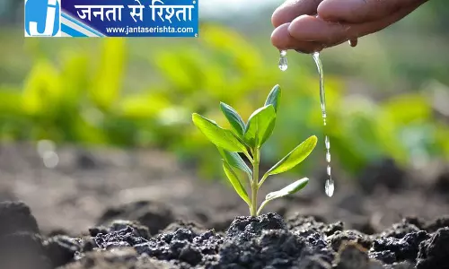 हिमाचल में पौधों की सेहत पर एआई, जलवायु परिवर्तन और कीटों का असर