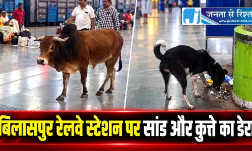 बिलासपुर रेलवे स्टेशन पर सांड और कुत्ते का डेरा