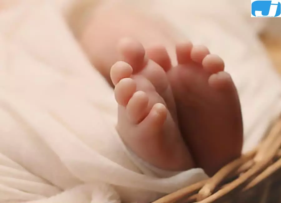 कूड़े के ढेर में मिली सात दिन की नवजात बच्ची कूड़े के ढेर में मिली सात दिन की नवजात बच्ची