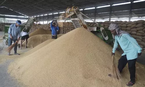 प्रतिबंध के बावजूद यूपी से धान करनाल अनाज मंडियों में आ रहा