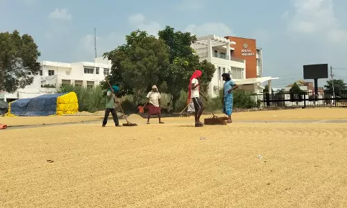 अंबाला में 1,750 से अधिक किसानों ने अधिक पैदावार मिलने का दावा किया