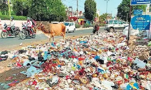 हर घर से उठेगा कचरा, पीएसी ने 100 फीसदी कवरेज पर दिया जोर
