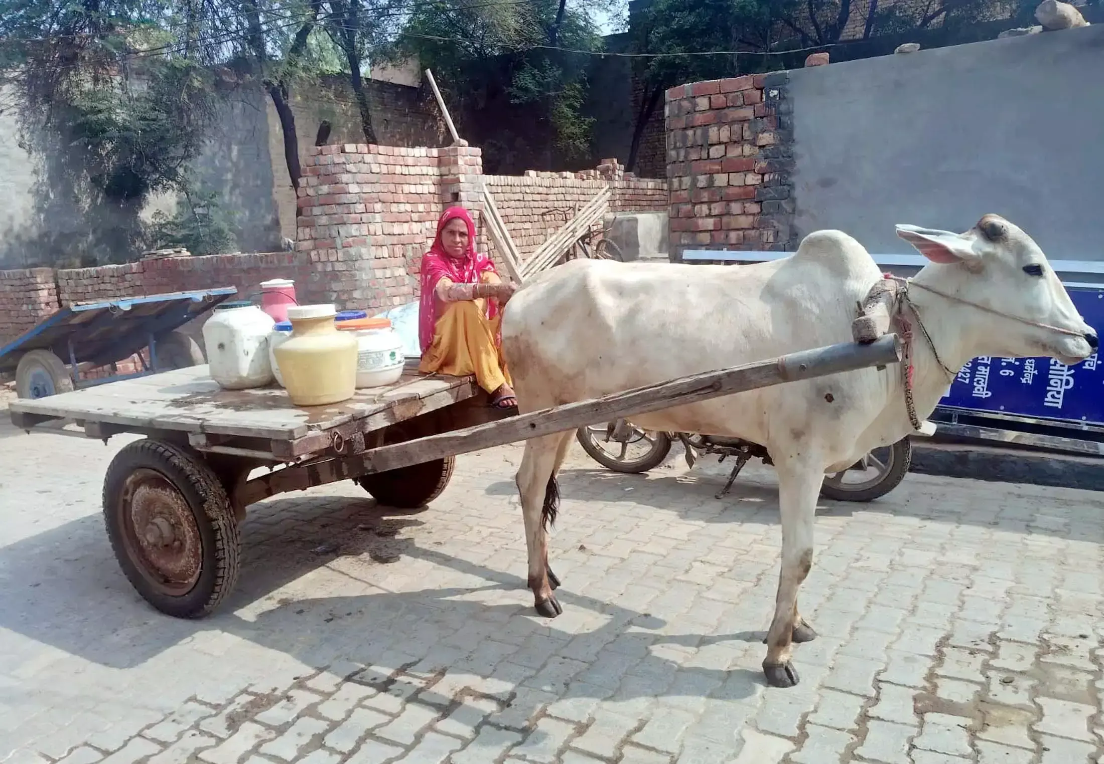 बिजली कर्मचारियों की हड़ताल से बढ़ी आमजन की मुश्किलें बिजली कर्मचारियों की हड़ताल से बढ़ी आमजन की मुश्किलें