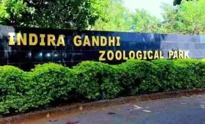 15,000 किलोमीटर की सरीसृप संरक्षण यात्रा 24 अक्टूबर को आईजीजेडपी पहुंचेगी 15,000 किलोमीटर की सरीसृप संरक्षण यात्रा 24 अक्टूबर को आईजीजेडपी पहुंचेगी