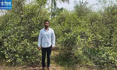 बारिश की कमी से किसानों पर टूटा संकट, 150 नींबू के पेड़ों पर एक भी फल नहीं, सूखे ने छीनी कमाई बारिश की कमी से किसानों पर टूटा संकट, 150 नींबू के पेड़ों पर एक भी फल नहीं, सूखे ने छीनी कमाई