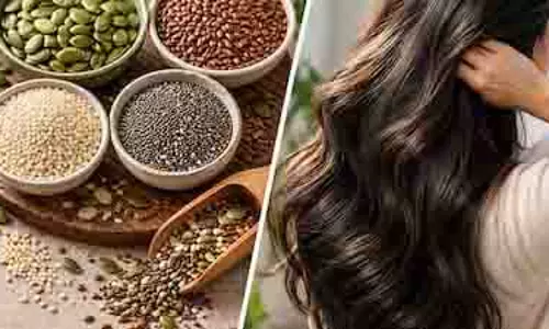 बालों की सेहत का राज छिपा है इन बीजों में