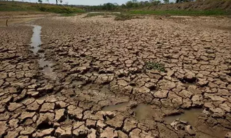तेलंगाना सूखे की चपेट में, हैदराबाद 3 पूर्णतः अभावग्रस्त जिलों में शामिल तेलंगाना सूखे की चपेट में, हैदराबाद 3 पूर्णतः अभावग्रस्त जिलों में शामिल