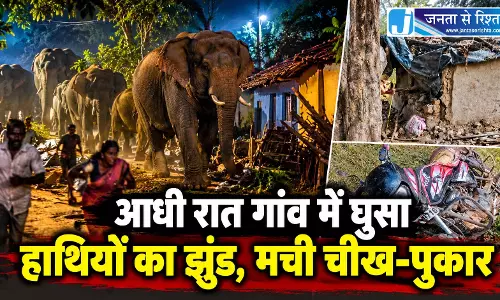आधी रात गांव में घुसा हाथियों का झुंड, मची चीख-पुकार आधी रात गांव में घुसा हाथियों का झुंड, मची चीख-पुकार