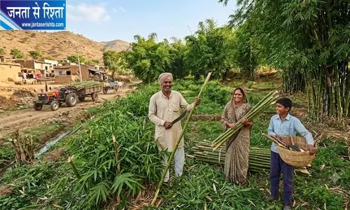 बंजर जमीन से होगी कमाई, किसानों के लिए नई पहल बंजर जमीन से होगी कमाई, किसानों के लिए नई पहल