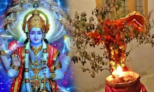 कार्तिक महीने में तुलसी पूजन का महत्व, जानें खास नियम कार्तिक महीने में तुलसी पूजन का महत्व, जानें खास नियम
