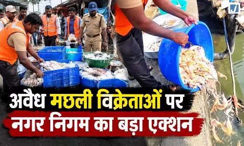 अवैध मछली विक्रेताओं पर नगर निगम का बड़ा एक्शन, जब्त मछलियों को खाड़ी में फेंका