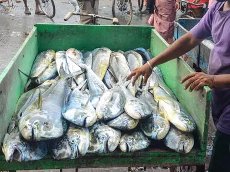 ट्रंप ने अमेरिकी सीफूड की पहचान के लिए नई लेबलिंग योजना की घोषणा की ट्रंप ने अमेरिकी सीफूड की पहचान के लिए नई लेबलिंग योजना की घोषणा की