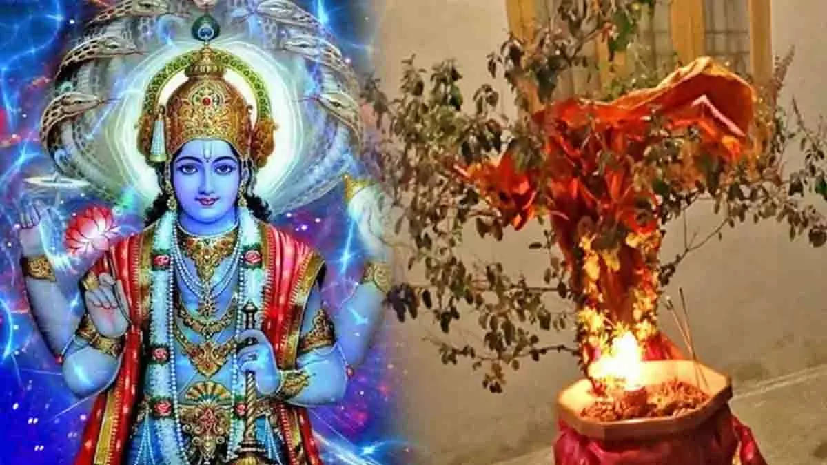 कार्तिक महीने में तुलसी पूजन का महत्व, जानें खास नियम कार्तिक महीने में तुलसी पूजन का महत्व, जानें खास नियम