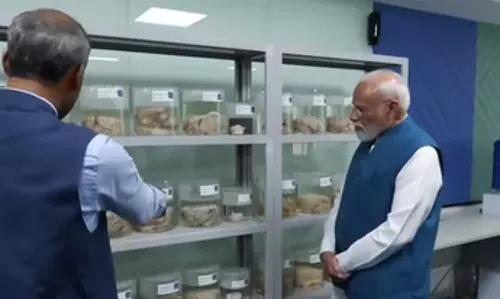 मन की बात: पीएम मोदी ने गिनाई ब्रेन रिसर्च में भारत की उपलब्धि, आईआईटी मद्रास के सेंटर का किया जिक्र